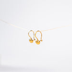 Teardrop earrings product